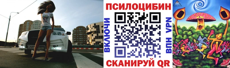 Галлюциногенные грибы Magic Shrooms Верея